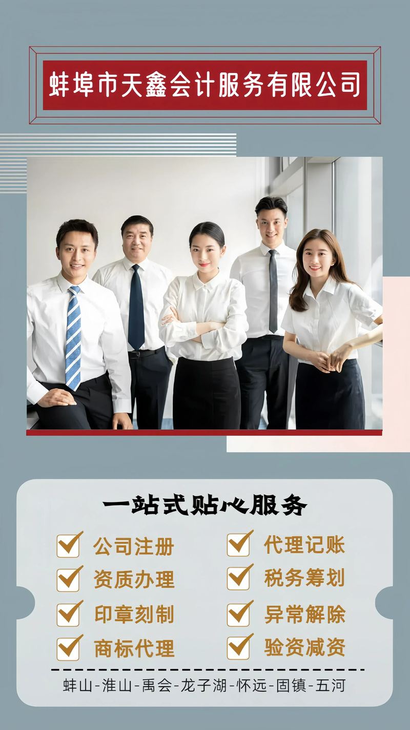 蚌埠市天鑫会计服务 专业会计服务，助力企业财税合规与稳健发展